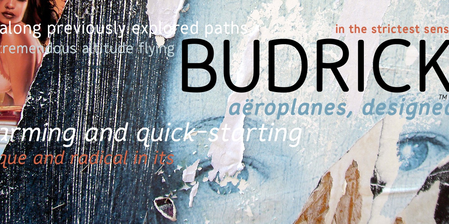Beispiel einer Budrick BB-Schriftart #5